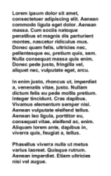 Basic Series 17 | Simple vertical design for back layout with large text area for notes, terms, or additional information. #122482