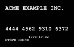 Retail Series 19 | Simple horizontal design for loyalty or fidelity cards with customer name, reference number, and expiry date. #122355