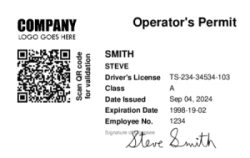 Security Series 01 | Professional horizontal design with operator details, permit dates, signature, and a QR code for validation. #122461